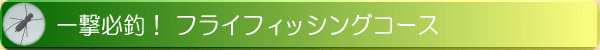 一撃必釣! フライフィッシングコース