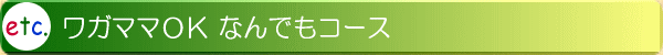ワガママOK なんでもコース