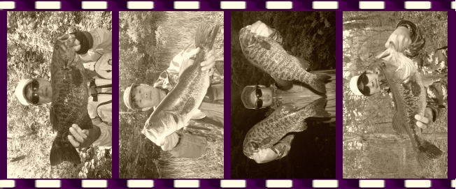 �K�C�h�啨�ʐ^