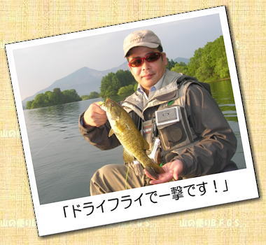 「ドライフライで一撃です!」